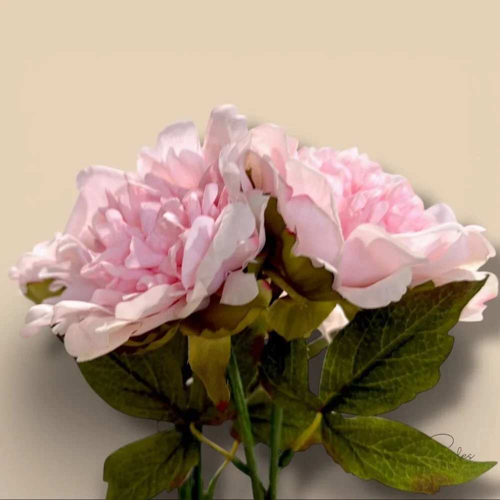 My Texas House Peony Floral Pick Set -‎ Two 16